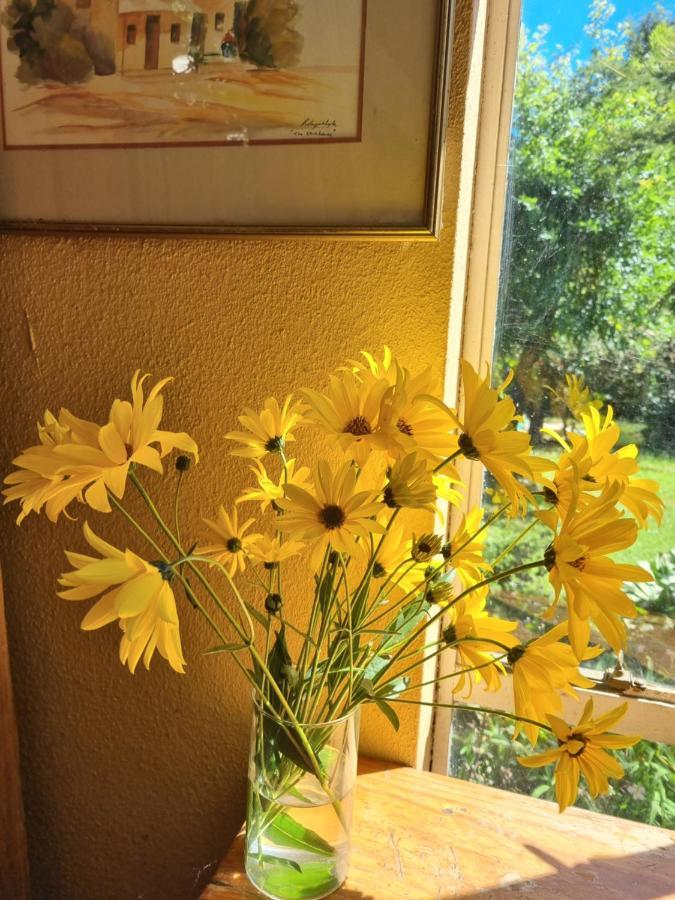 Yellowwood Cottage Himeville Zewnętrze zdjęcie